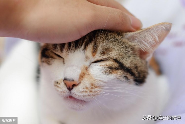 偷偷告诉你，我因为微博小号而脱单