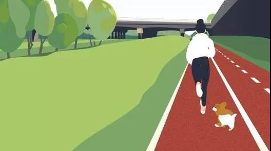 微信爱情时代谈恋爱不如遛狗