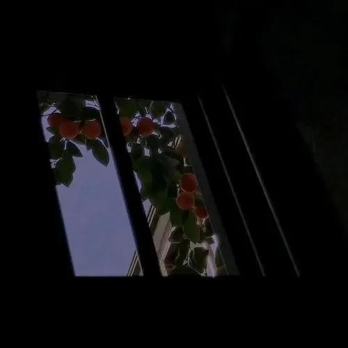 支付宝才是最好的相亲平台