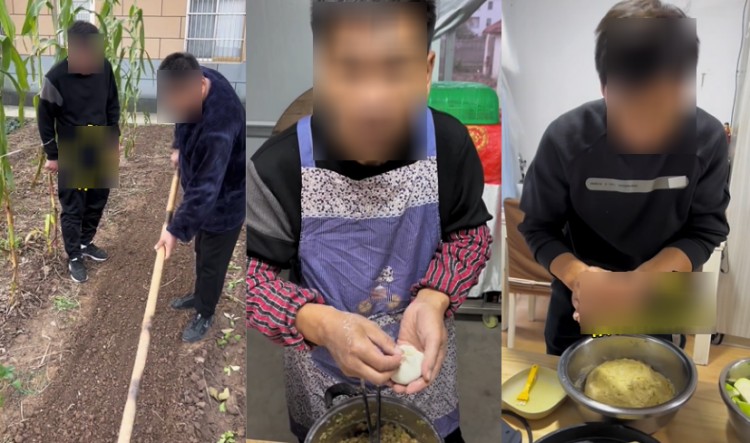 播放量超过3000w，还可以涨50w，快手当红赛道又出反击黑马